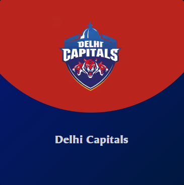 DELHI CAPITALS Flag