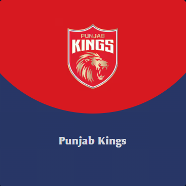 PUNJAB KINGS Flag
